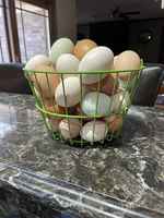 Eggs_in_a_basket