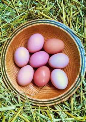 Bowl_of_eggs