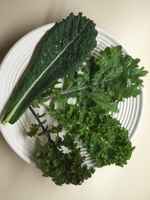 Kale_mix