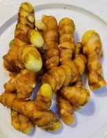 Turmeric_root