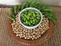 Edamame_seeds_and_beans_21