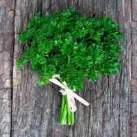 Parsley-curled-1