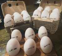 Duck_eggs_carton